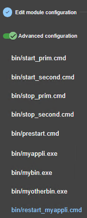 SafeKit web console image
Edit the process restart script called upon process monitoring error detection using the module configuration wizard