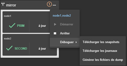 Image de la console web SafeKit
Démarrer ou arrêter le module sur tous les nœuds, télécharger tous les snapshots et journaux à partir du menu global du module